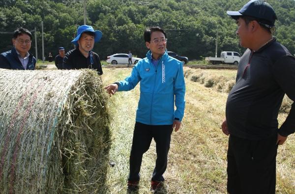 NSP통신-강진원 강진군수(사진 오른쪽 두번째)가 동계조사료 생산현장을 찾아 대화하고 있다. (사진 = 강진군)