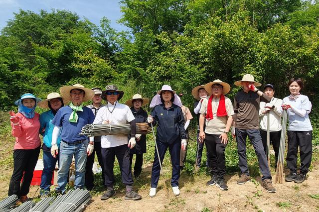 NSP통신-정선군의회 의원과 직원들이 17일 정선읍 용탄리에 위치한 고추 재배 농가를 방문해 고추 지지대 설치 작업 가운데 사진촬영을 하고 있다. (사진 = 정선군)