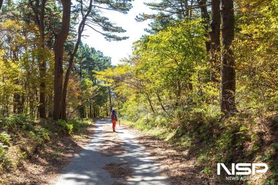 NSP통신-백운산둘레길 2코스 (사진 = 광양시청)