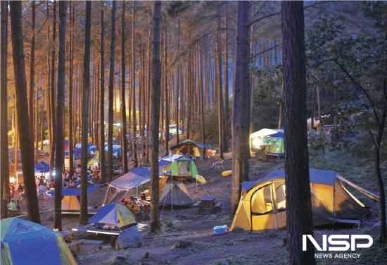NSP통신-백운산자연휴양림 숲속 캠핑 (사진 = 광양시청)