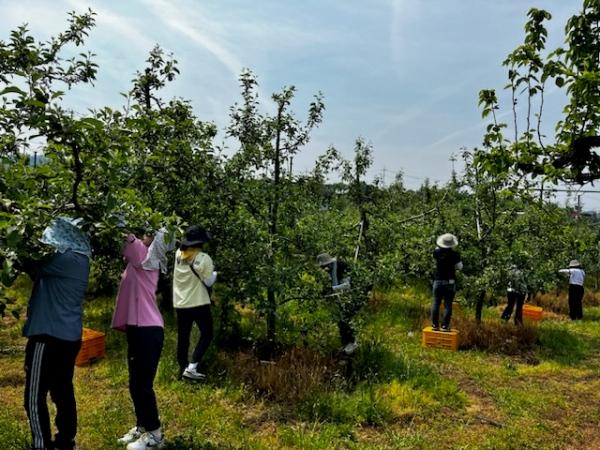 NSP통신- (사진 = 곡성군)