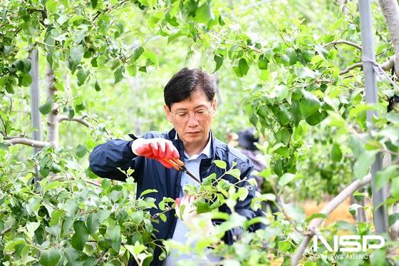 NSP통신-전북 장수군이 부서별 농촌일손돕기 나선 가운데 최훈식 군수가 사과적과 일손돕기를 펼치고 있다. (사진 = 장수군)