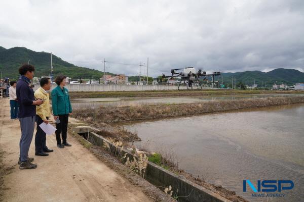 NSP통신-경상북도농업기술원은 본격적인 영농시기를 맞아 정밀한 파종작업과 노동력 절감 기술보급을 위해 19일 군위에서 농업인과 시군 벼농사 담당자를 대상으로 드론직파 벼 재배 연시교육 을 실시했다. (사진 = 경상북도)