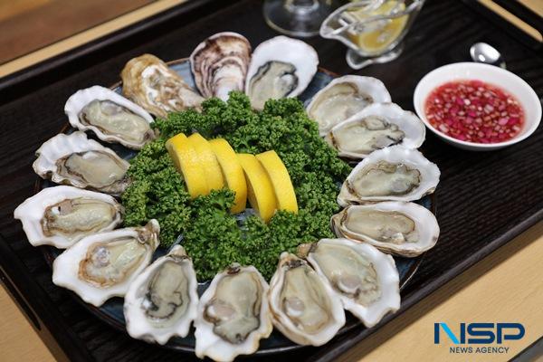 NSP통신-2023년 제4기 양식학교 입교식을 맞아 1004굴 하프쉘을 전시하고 있다. (사진 = 신안군)