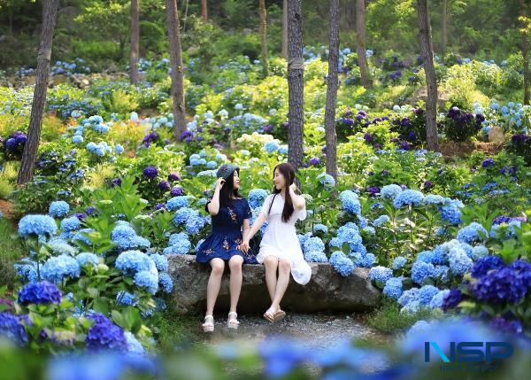 NSP통신- (사진 = 해남군)