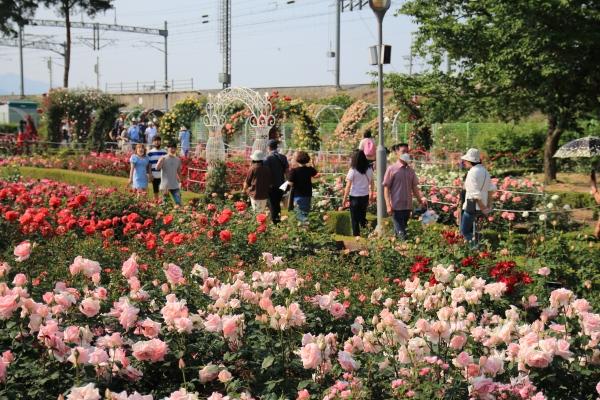 NSP통신- (사진 = 곡성군)