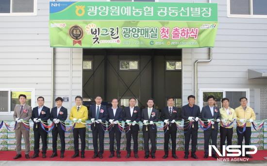 NSP통신-광양매실 시장 출하 본격 개시를 알리는 첫 출하식 (사진 = 광양시청)