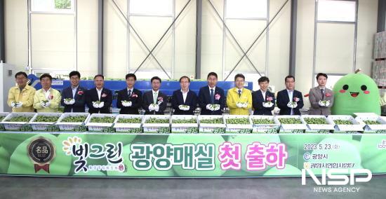 NSP통신-광양매실 시장 출하 본격 개시를 알리는 첫 출하식 (사진 = 광양시장)