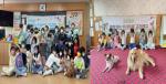 [NSP PHOTO]순천시, 찾아가는 반려동물 교감캠프 운영