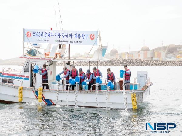 NSP통신-한국수력원자력 한울원자력본부는 23일 울진군 북면 석호항 인근 연안에서 월성원전 온배수로 키운 강도다리 3만 미와 전복 치패 2만 미 방류행사를 가졌다. (사진 = 한울원자력본부)