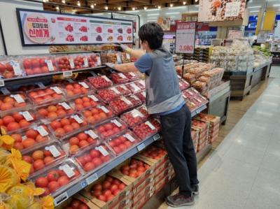 [NSP PHOTO]이마트, 농가 상생과 소비 촉진을 위한 토마토 전 품종 행사