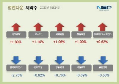 [NSP PHOTO][업앤다운]제약주 하락…한미약품·셀트리온↓