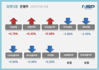 [NSP PHOTO][업앤다운]은행주 하락…기업은행↑·카카오뱅크↓