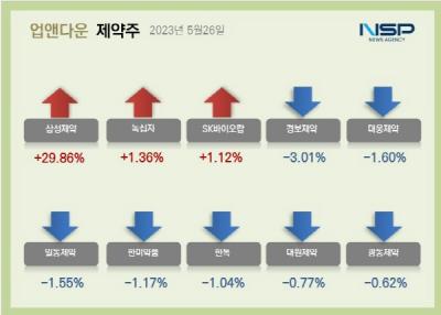 [NSP PHOTO][업앤다운]제약주 하락…경보제약·대웅제약↓