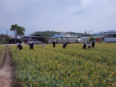 [NSP PHOTO]의성군의회, 농촌일손돕기 지원