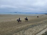 [NSP PHOTO]신안군, 임자 대광해변 승마 축제 열려