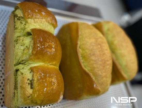 NSP통신-지역을 대표할수있는 모링가를 첨부한 빵 (사진 = 동부직업전문학교)