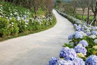 [NSP PHOTO]신안군, 2023년 찾아가고 싶은 여름 섬 도초도 선정