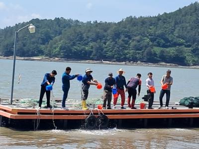 [NSP PHOTO]강진군, 일본 후쿠시마 오염수 방류 예고 따른 청정 수산 환경 지키기 만전