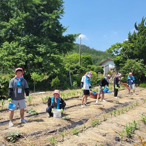 NSP통신-강진군이 도시민을 대상으로 실시하고 있는 푸소 체험. (사진 = 강진군)