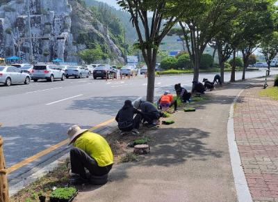 [NSP PHOTO]목포시, 주요 간선도로변 가로수 꽃길 조성