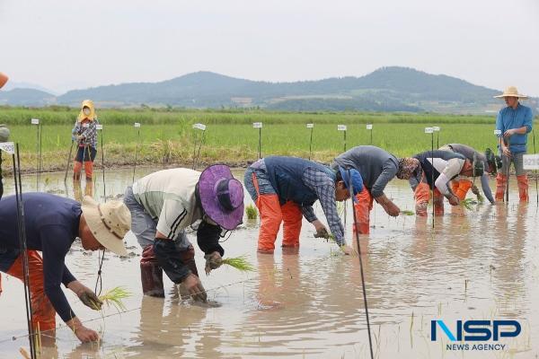 NSP통신- (사진 = 해남군)