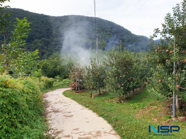 NSP통신-청송군은 농경지 및 인근 산림지에서 서식하며 농작물에 피해를 주는 돌발해충의 밀도를 줄이기 위해 공동방제에 나섰다. (사진 = 청송군)