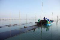 [NSP PHOTO]장흥군, 친환경 무산김 종자 주권 확보 총력