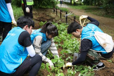 [NSP PHOTO]KT&G복지재단, 북한산 생태복원 봉사활동 진행