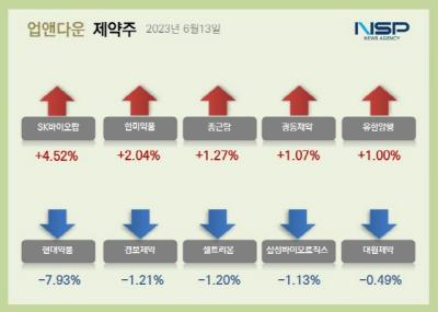 [NSP PHOTO][업앤다운]제약주 하락…현대약품·일동제약↓