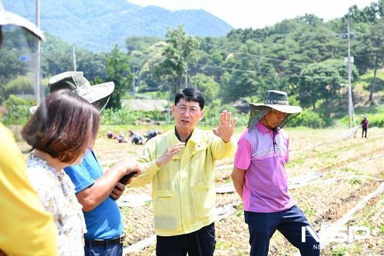 NSP통신-14일 최훈식 장수군수가 산서면 소재 양파농가를 방문해 현장점검 하고 농가들을 격려했다. (사진 = 장수군)