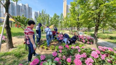 [NSP PHOTO]수원시, 새빛수원 손바닥정원단 수국정원 조성 참여