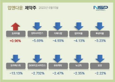 [NSP PHOTO][업앤다운]제약주 하락…한미사이언스·부광약품↓