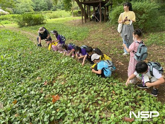 NSP통신-자연과 함께하는 아토피 숲체험교실 (사진 = 군산시)