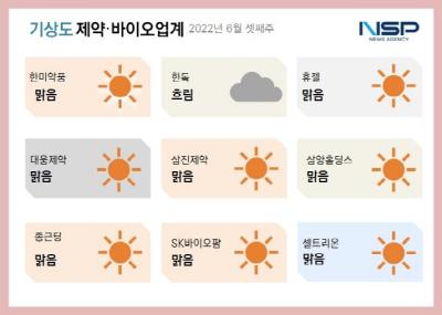 [NSP PHOTO][제약·바이오업계기상도]셀트리온 맑음·한독 흐림