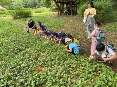 [NSP PHOTO]군산시, 7세 어린이 대상 아토피 숲 체험교실 운영