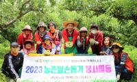 [NSP PHOTO]광양농협, 농촌 일손돕기 봉사활동 적극 동참