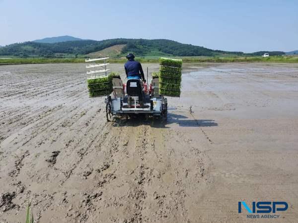 NSP통신- (사진 = 해남군)