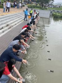 [NSP PHOTO]순천시, 모기 천적 미꾸라지 방류
