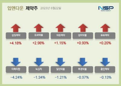 [NSP PHOTO][업앤다운]제약주 상승…삼일제약·대웅제약↑