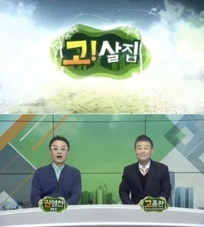 [NSP PHOTO][오늘의 방송]매일경제TV 고!살집...25주차 부동산 이슈 점검