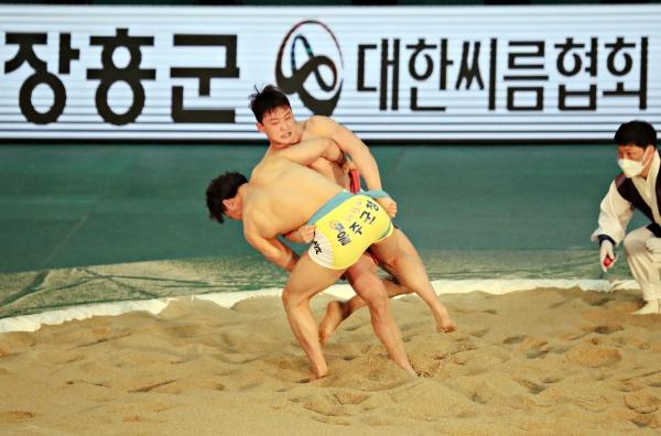 NSP통신- (사진 = 장흥군)