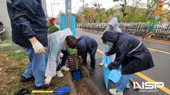 NSP통신- (사진 = 군산시)