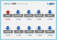 [NSP PHOTO][업앤다운]은행주 하락…제주은행↑·카카오뱅크↓