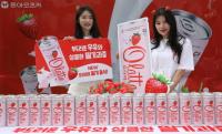 [NSP PHOTO]동아오츠카, 오라떼 딸기 신제품 출시