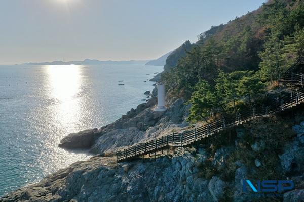 NSP통신-전남도 여름철 걷고 싶은 숲길로 선정된 뢍도 약산 해안 치유의 숲 전경 (사진 = 완도군)