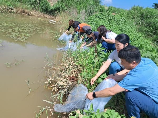 NSP통신- (사진 = 강진군)