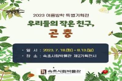 [NSP PHOTO]속초시립박물관, 2023 여름방학 특별전 개최