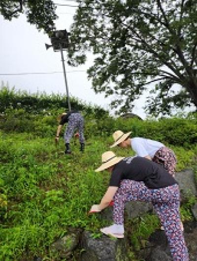 [NSP PHOTO]장수군 로컬JOB센터, 대학생 농촌봉사활동 진행