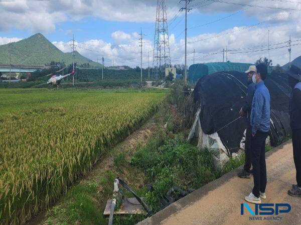 NSP통신-경주시가 고품질 쌀 생산을 위해 지역 농협과 협력해 병해충 공동방제를 추진한다. (사진 = 경주시)